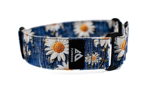 Martingal-Halsbnder | Abenteuersichere Hundeausrstung | Flowdog  Flowdog  AT